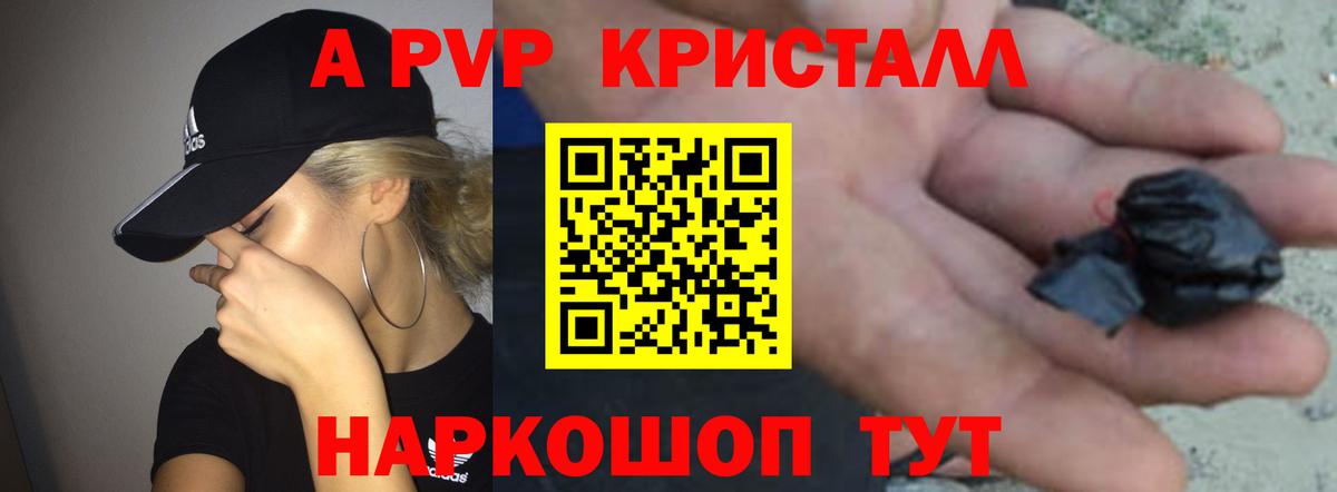 APVP СК Заринск