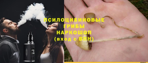 бошки Абдулино