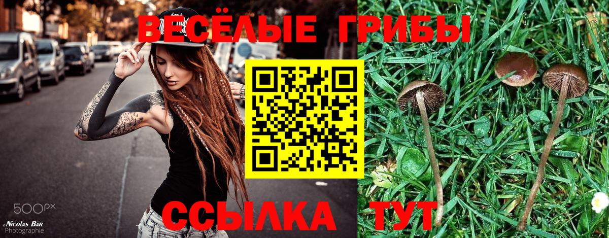 купить закладку  Псилоцибиновые грибы GOLDEN TEACHER  Галлюциногенные грибы Psilocybe  Вход с VPN  Заринск 