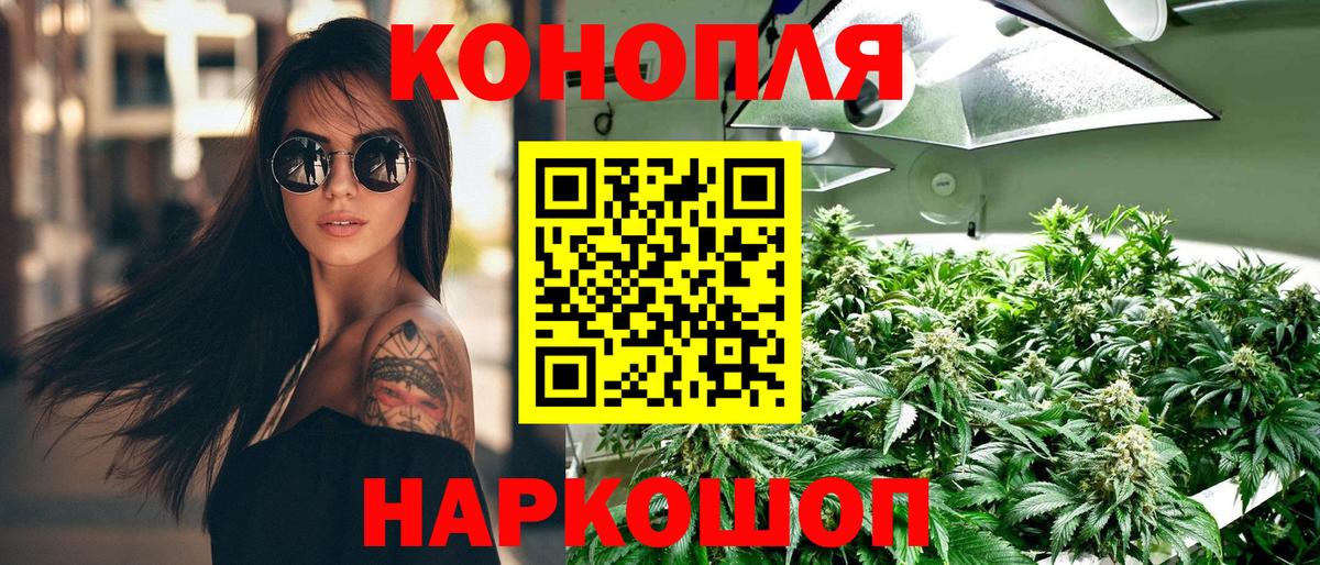 Марихуана OG Kush Заринск